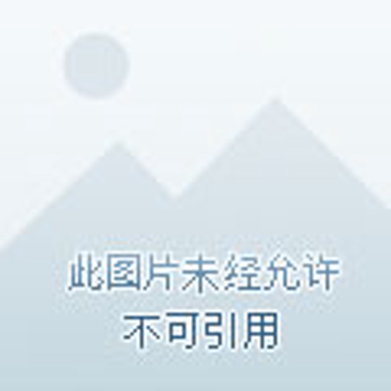 商户收款码：现代支付的新篇章
